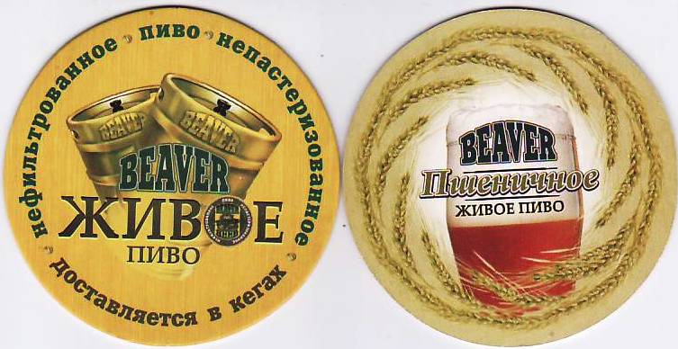 Minsk Beaver 05
