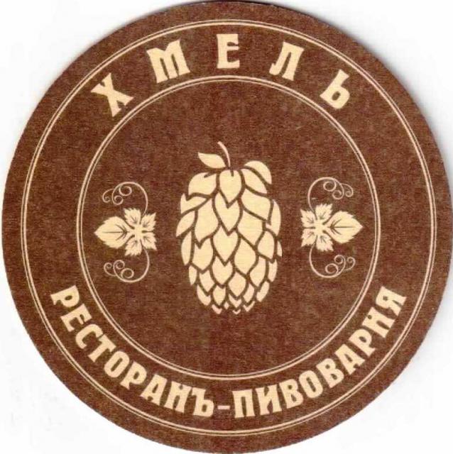 Kaliningrad Chmel 03