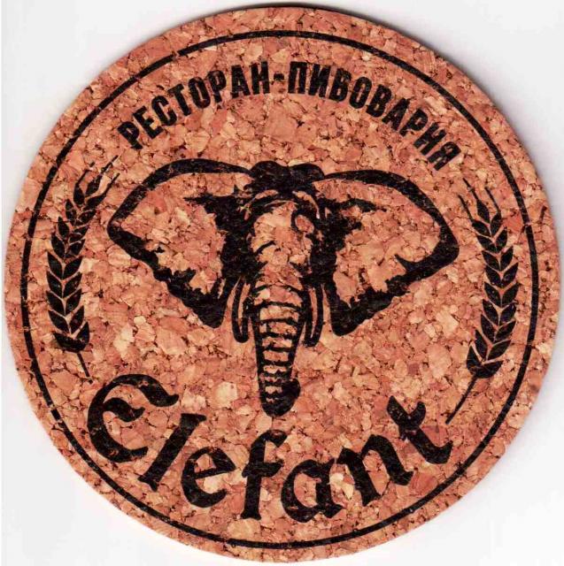 Kazan Elefant 01