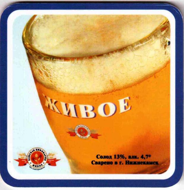 Nizhnekamsk Kamskaya 01