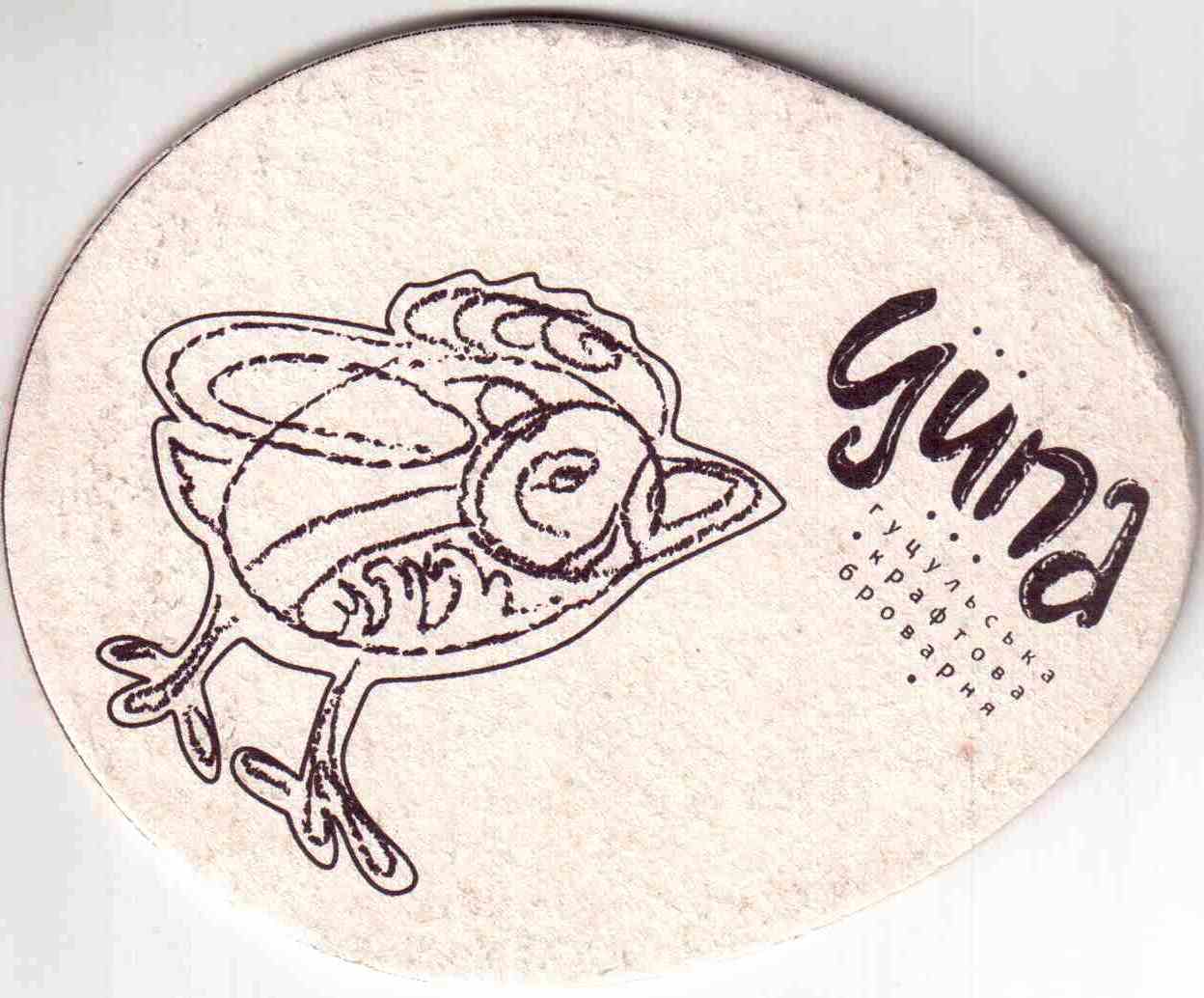 Kvasy Cipa 01