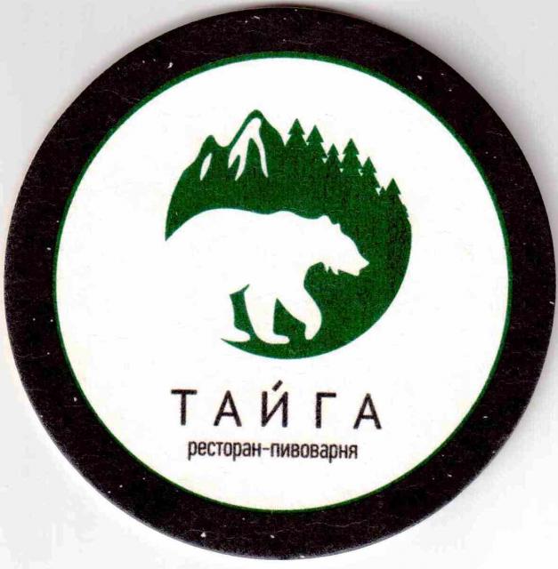 Lipetsk Taiga 02