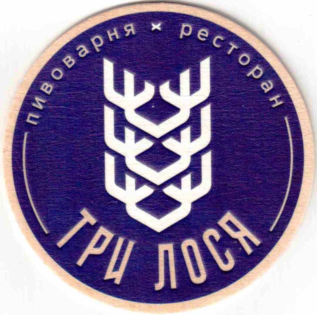 Novosibirsk 3 losya 01