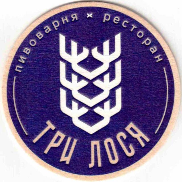 Novosibirsk 3 losya 01