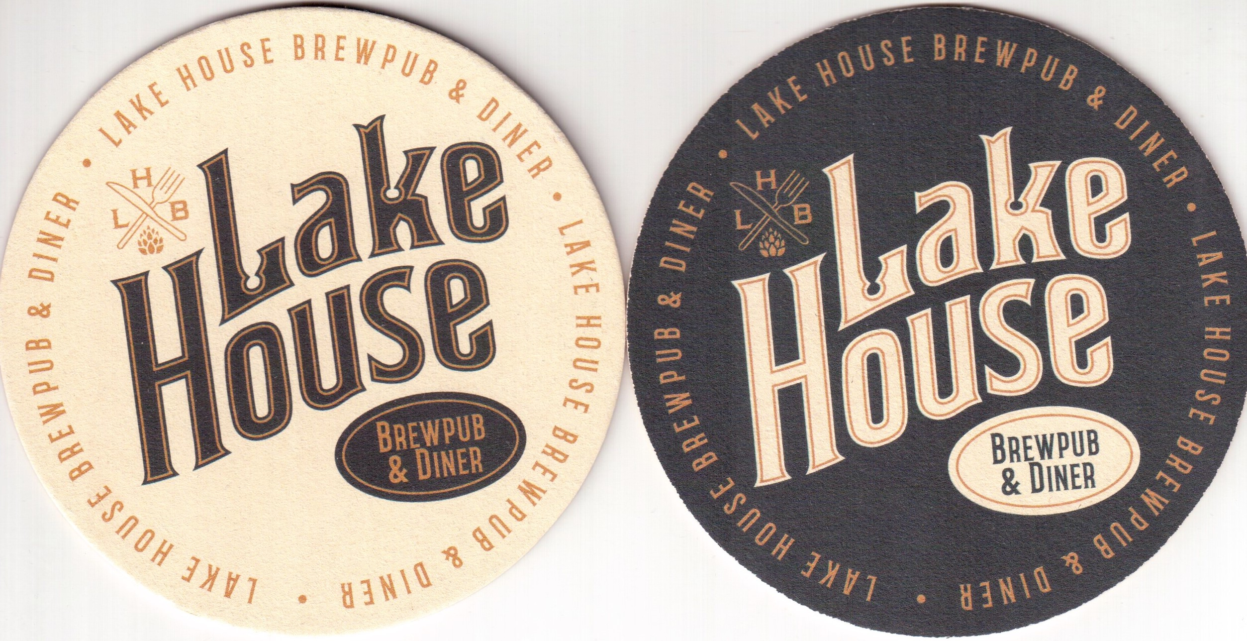 Chisinau Lake house 01